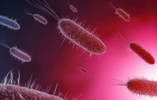 Communicable Diseases